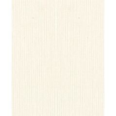 Toile Texture Design Carton - Couleur Crème