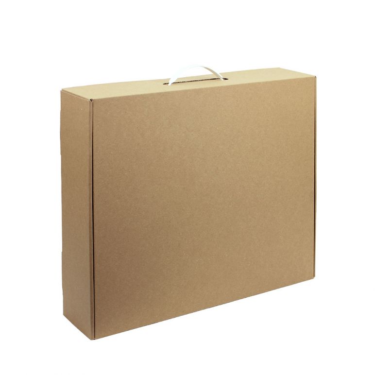 Kartonnen draagtas met plastic handvat 50x40x10 cm